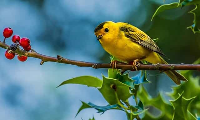 长沙云翼培训学校获喜报，高考小语种助你走进名校大门！