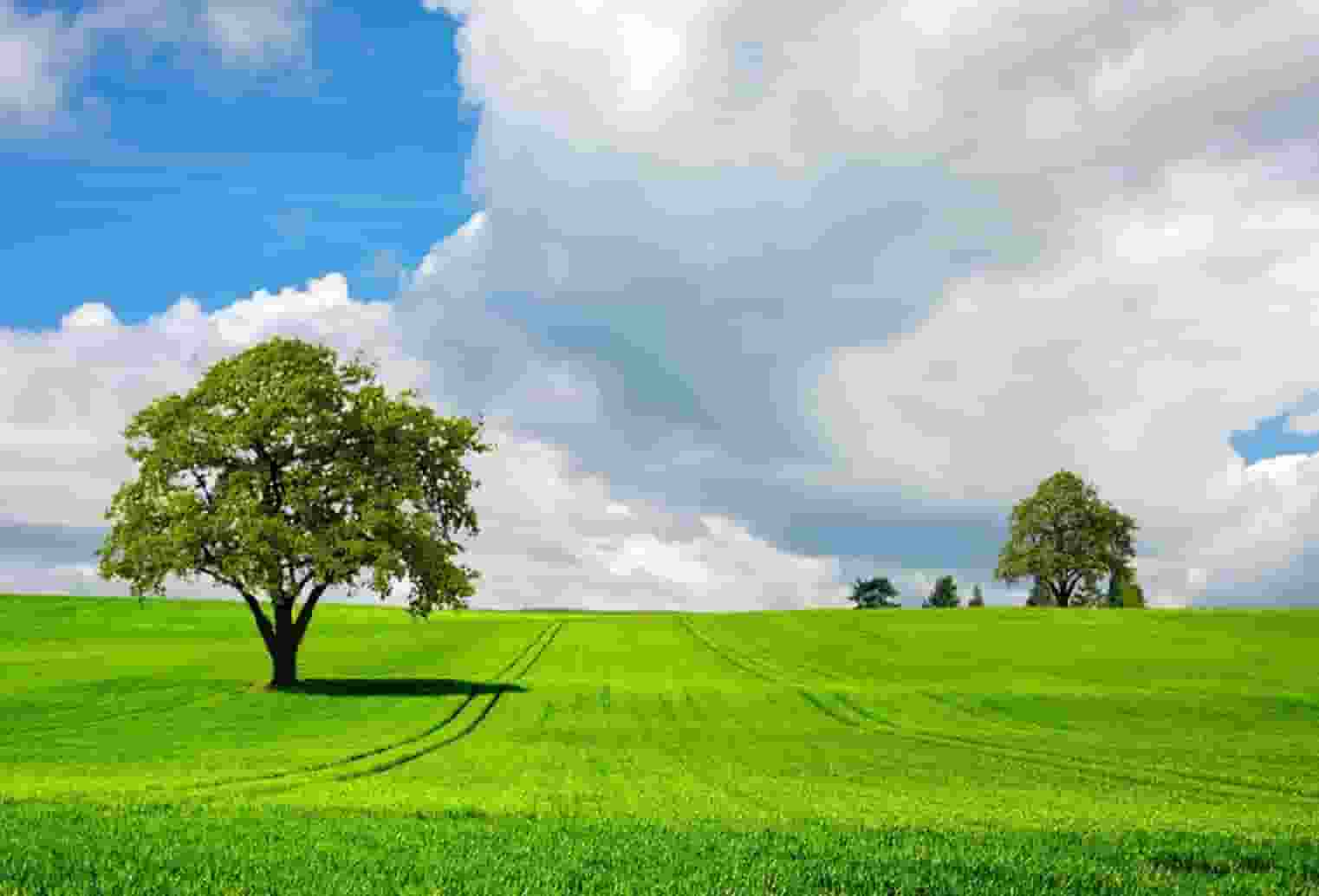 陈芋汐上海教练(上海跳水队陈芋汐)