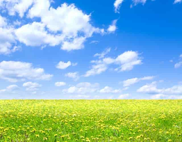 公司董事会决议不成立的情形