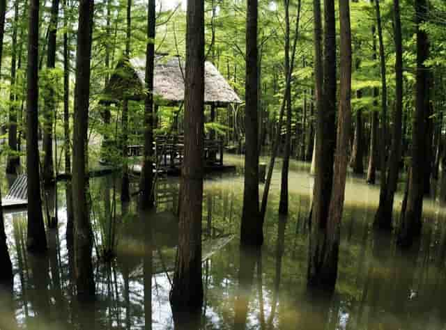 丁程鑫被北电录取(丁程鑫考中戏还是北电)