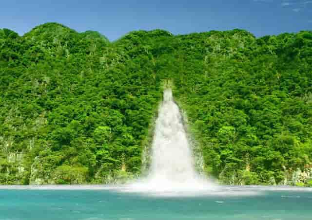 袖虎病狗攻略：狗身上碰不得的7个地方，小心无知被狗咬