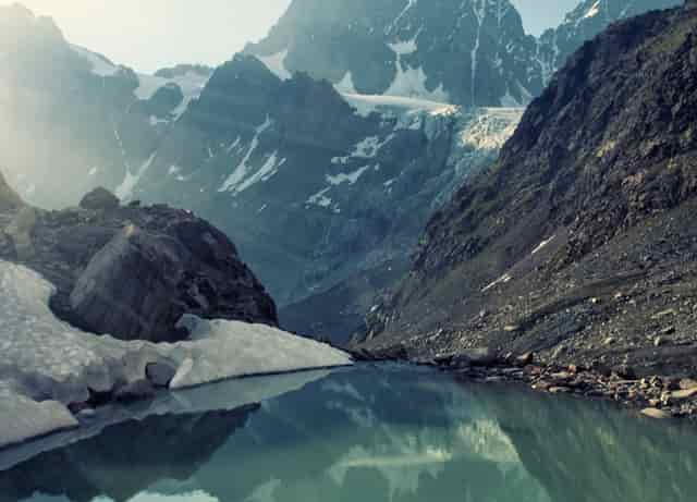 袖虎如此解读猫咪小肚腩的秘密