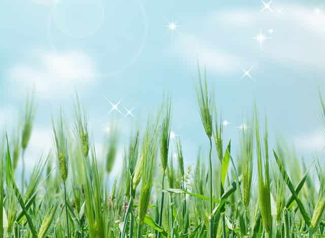 蔡嘉珍成功註冊理財規劃師，邁出專業領域新里程碑