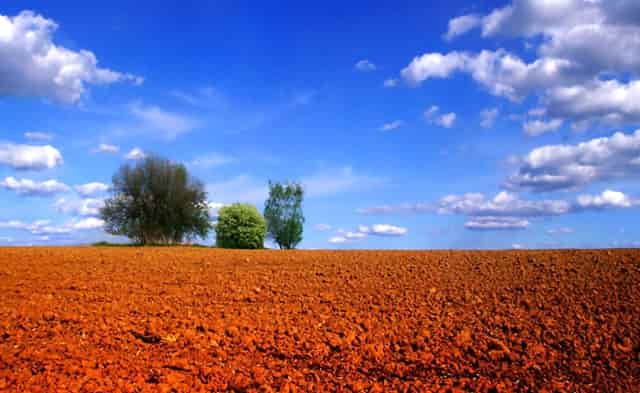 袖虎揭秘，宠物“装死”是怎样炼成的！
