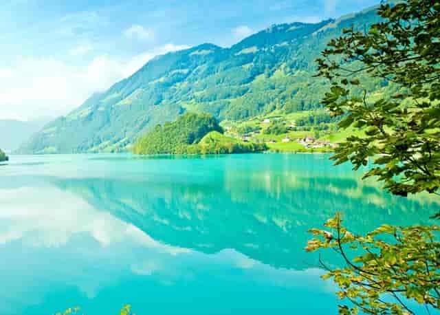 应届毕业生求职图鉴：从焦虑走向理性