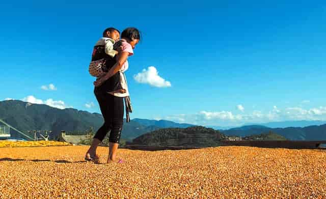 应该上民办小学吗