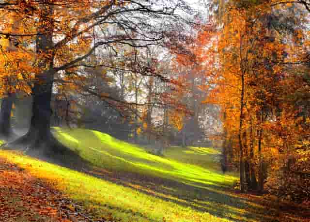 知乎携手京东、品牌商家，共创 11.11 家电家居消费指南