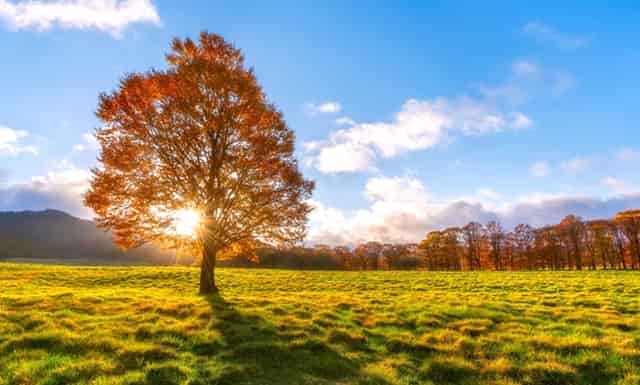 厂房基础平面图纸