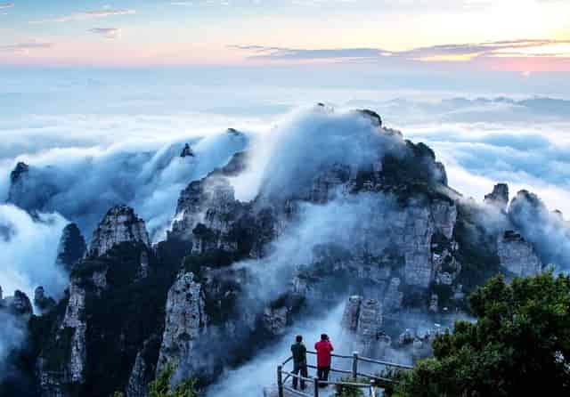 1971年农历正月十九是阳历哪天