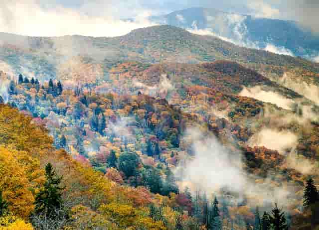 英格兰今年欧洲杯能夺冠吗