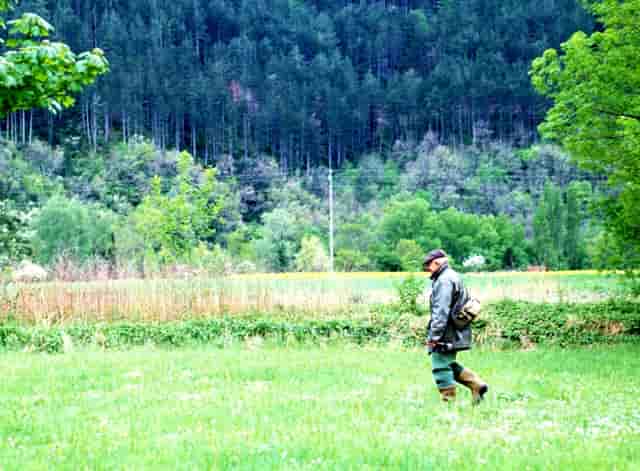 肝脏变差的人(肝脏变差会有哪些表现)