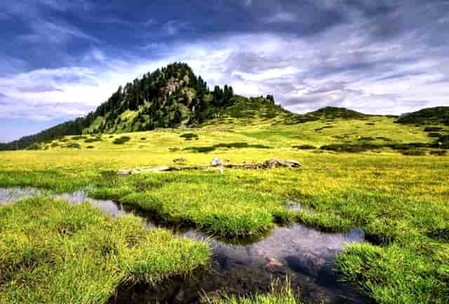 党史是革命史吗