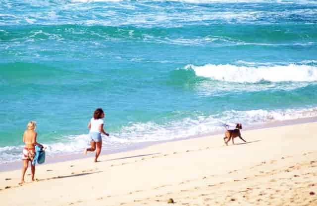 广东至河南百世快递要多久