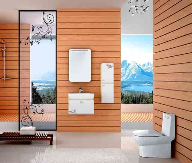 袖虎解密猫咪为什么爱在高处?