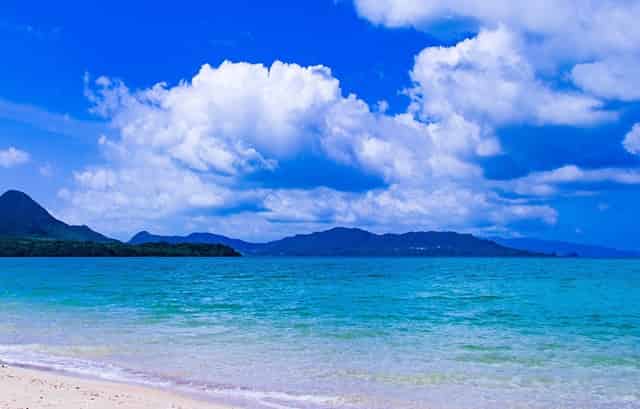 2021年学校招生是什么时候