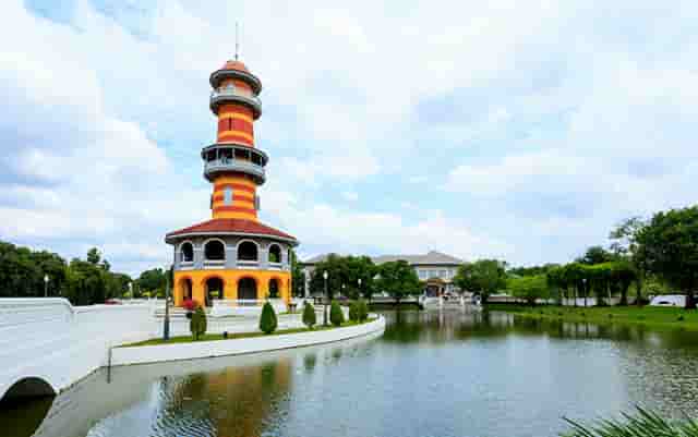 袖虎病狗攻略：狗怎么会瘸？