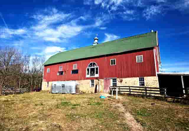 喝牛奶营养还是喝奶粉营养(喝牛奶有营养还是奶粉有营养)