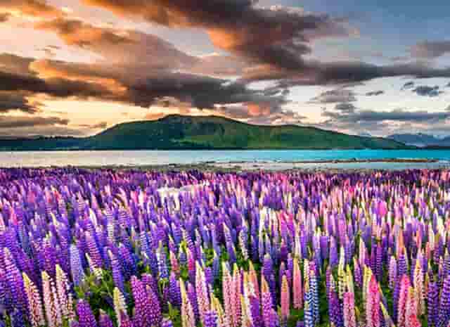 丈母娘等着回话(男朋友给丈母娘带东西怎么回话)