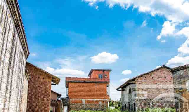 袖虎病猫攻略：猫咪刷牙攻略