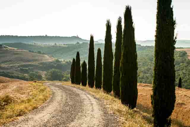 袖虎病狗攻略：遛狗的六大误区，看看你占了几条？