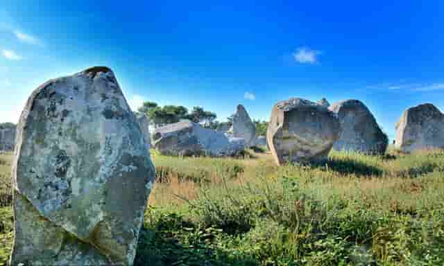 袖虎病猫攻略：怎么知道猫有没有怀孕