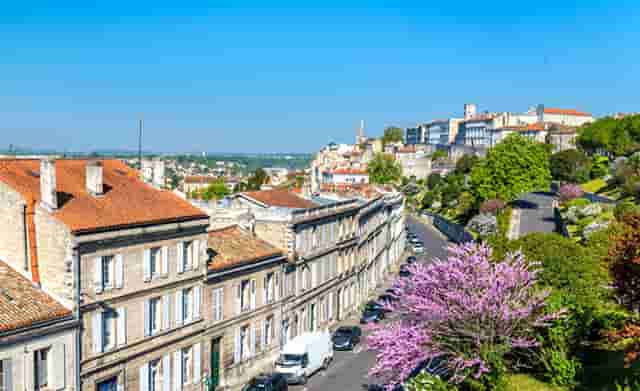 袖虎养宠秘笈：宠物喂养的十大误区