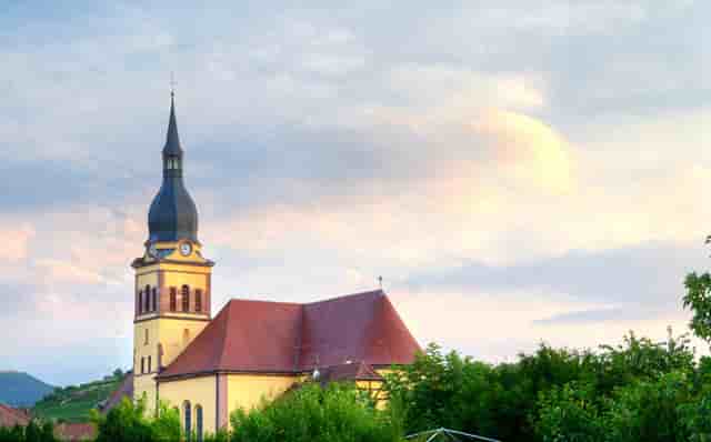 迈科期货亏损骗局？迈科教您如何截断亏损让利润奔跑！