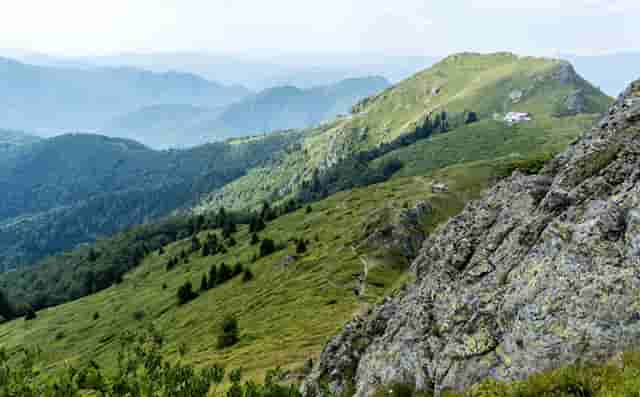 你的女儿回你家了吗