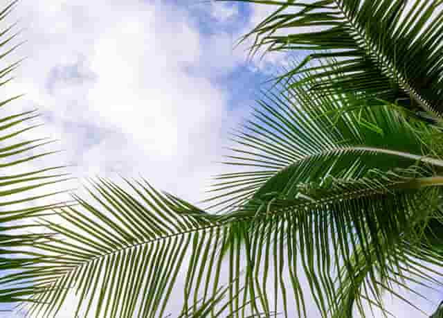 上饶火车站出站要查健康码吗(上饶火车站中转要出站吗)