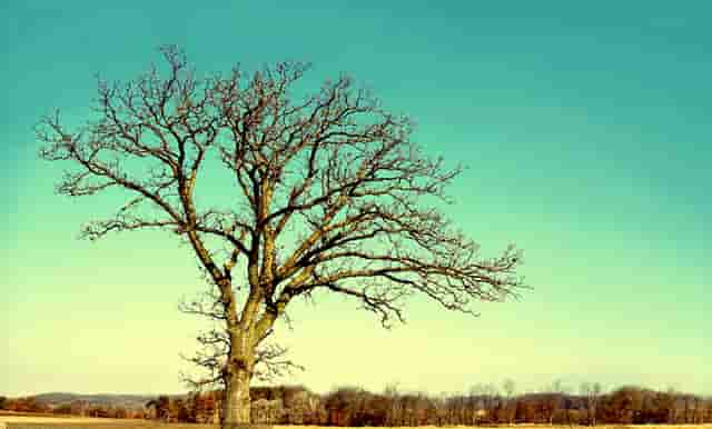 现代胜达提车2021(现代胜达提车作业)