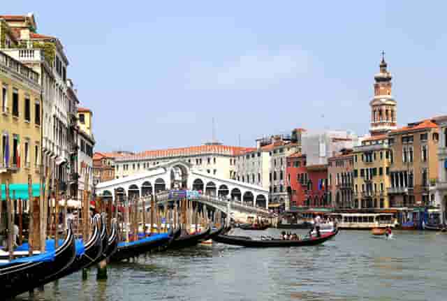 袖虎宠物告诉你：要学会避雷中国宠物行业无效信息！