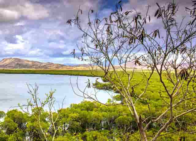 蔡嘉珍榮獲註冊理財規劃師資格