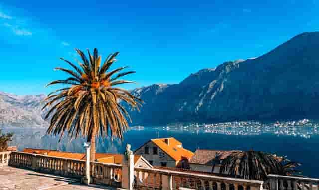 詹姆斯截图照片(字母哥和詹姆斯的照片)