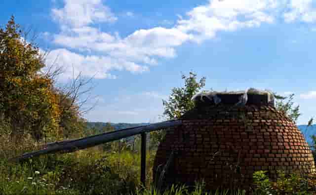 林生斌事件被调查了吗(林生斌公司)