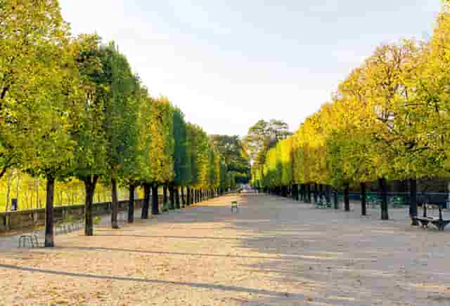 袖虎病猫攻略：猫咪烫伤处理