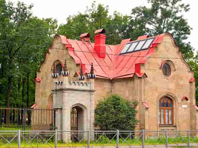 袖虎病猫攻略：猫鼻支和杯状病毒的区别