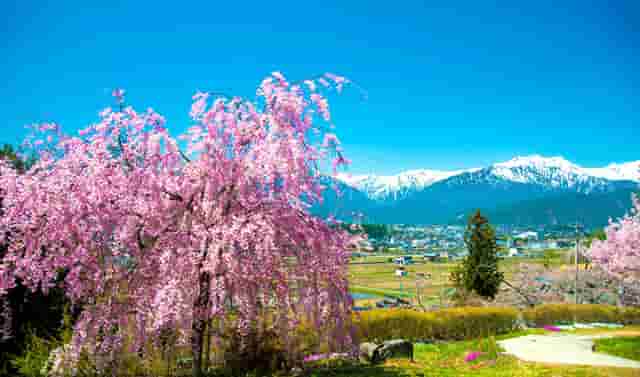 轻松创业，这个值得信赖的品牌你知道吗——袖虎！