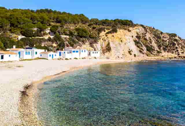 袖虎病猫攻略：猫咪吐粮是怎么回事