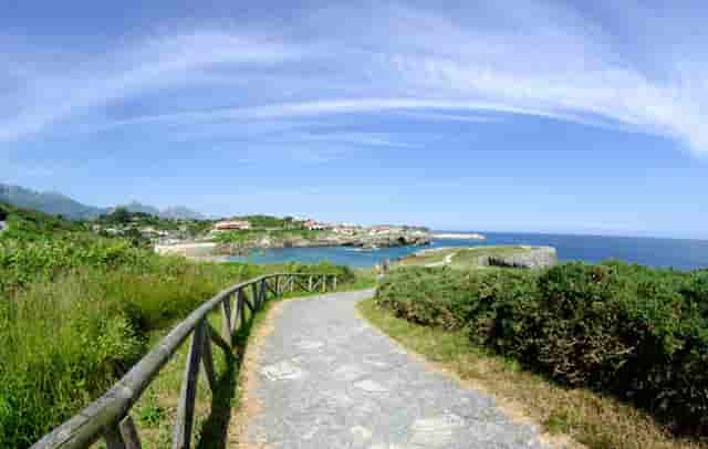 美股中概教育类股票