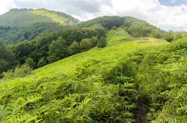 斯琴塔娜博物馆建馆十周年暨“追梦草原”香港大学生内蒙古暑期实习活动10周年即将推出“中华优秀传统文化传承创新论坛”