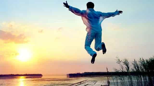 袖虎病狗攻略：狗狗晕车怎么办